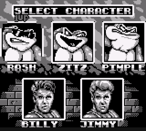 Battletoads and Double Dragon (GameBoy)